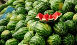 各种网红吃瓜爆料站,揭秘娱乐圈幕后真相